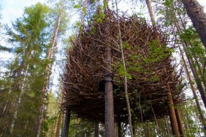 Hotel, "Treehotel di Boden"