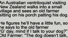 An Australian Ventriloquist Visiting New Zealand