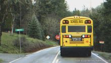 Story of the Day: Woman Overtakes Swerving School Bus and Notices Unconscious Driver