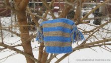 Story of the Day: Mom Finds Lost Son’s Beanie near Abandoned Greenhouse