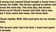Man Buys A Dead Horse Without Knowing It
