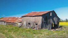 Story of the Day: Men Mock Sister for Inheriting Old Barn, Money Falls at Her Feet as She Enters It