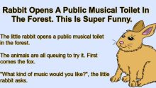 Rabbit Opens A Public Musical Toilet In The Forest