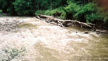 Story of the Day: ‘Don’t Give Up! I’m Coming!’ Guy Notices Little Girl Fighting for Life in River