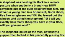 A Lowly Shepherd Is Able To Get The Better Of A Yuppie Stranger