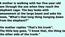 Dad Turns The Tables When Mom Tries To Shelter Son At Zoo