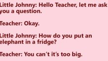 Little Johnny Asked His Teacher A Questions