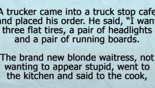 A Trucker Has The Hardest Time Trying To Explain His Order To A Blonde Waitress