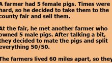 Farmers Find Genius Solution To Their Pig Problem