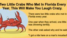 Two Little Crabs Who Met In Florida Every Year