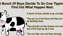 A Bunch Of Boys Decide To Go Cow Tipping