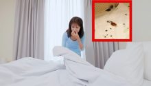 How Often You Should Wash Your Sheets and Bedding
