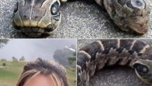 Woman discovers strange snake, like creature, you won’t believe what it really is