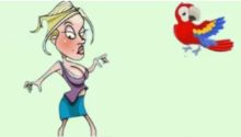The Relentless Parrot: A Feathered Insult Comedy