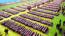 Drone Footage Reveals Astonishing Magnetic Field Herding Sheep on a Struggling Farm