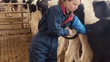 They laughed when I said I milk cows — but then came the reunion
