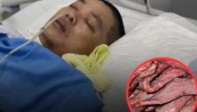 Why Eating More Processed Meat Increases Your Risk for Serious Health Problems
