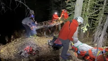SHOCKING! 7-Year-Old Girl Vanishes Without a Trace – What Rescuers Found in the Woods Left Everyone Speechless!